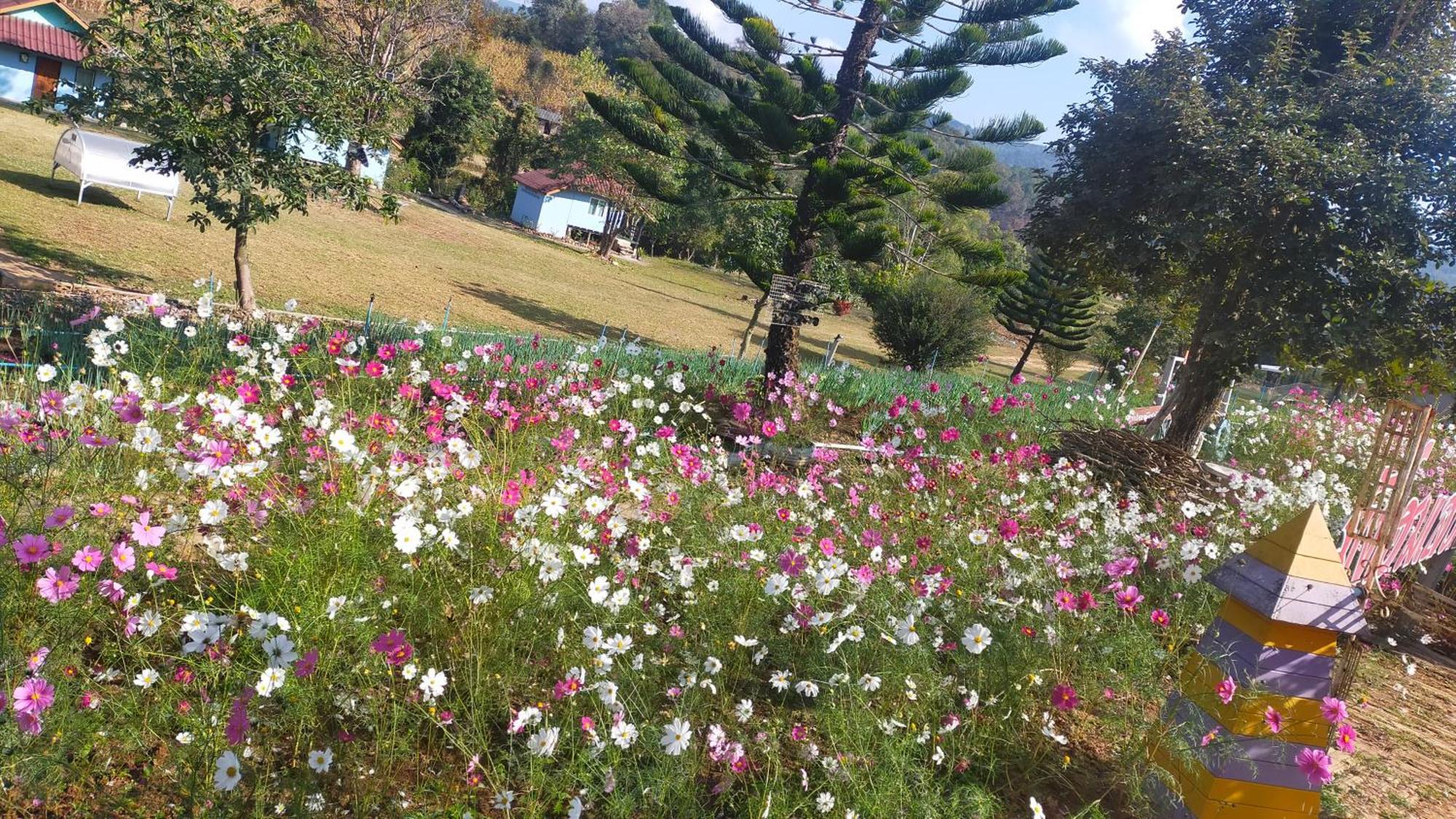 Mong Homestay Resort Pang Ung Buitenkant foto