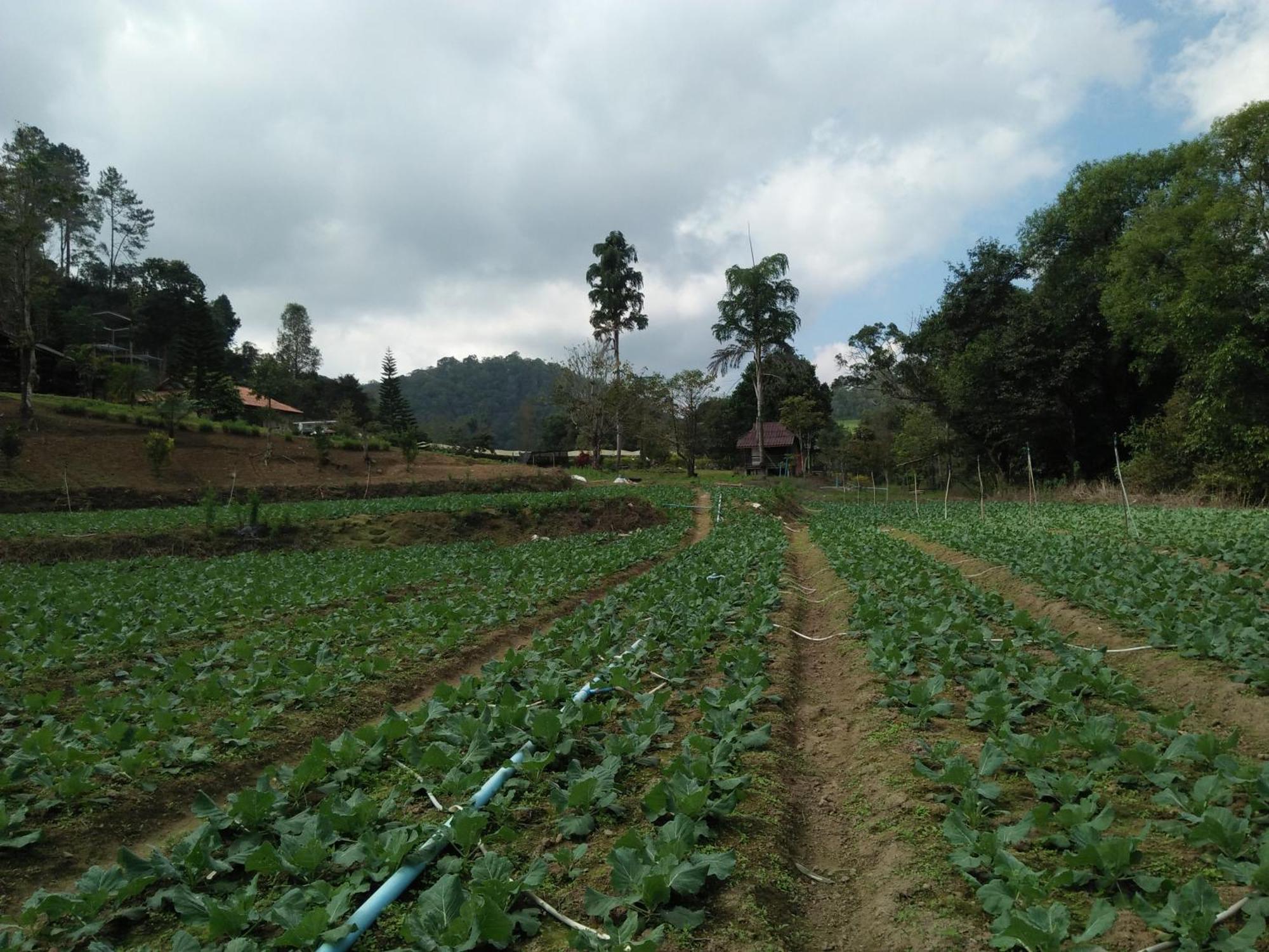Mong Homestay Resort Pang Ung Buitenkant foto