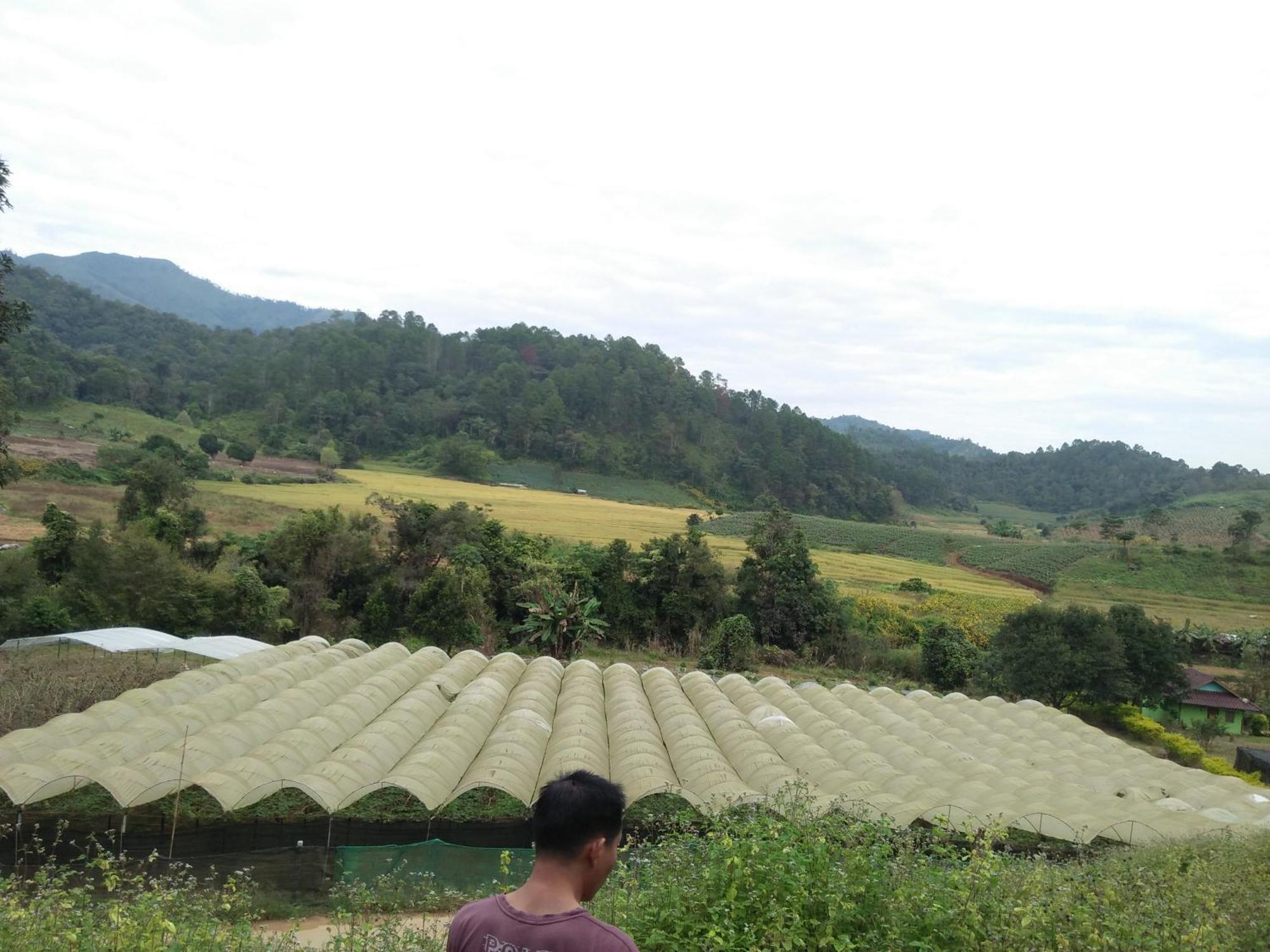 Mong Homestay Resort Pang Ung Buitenkant foto