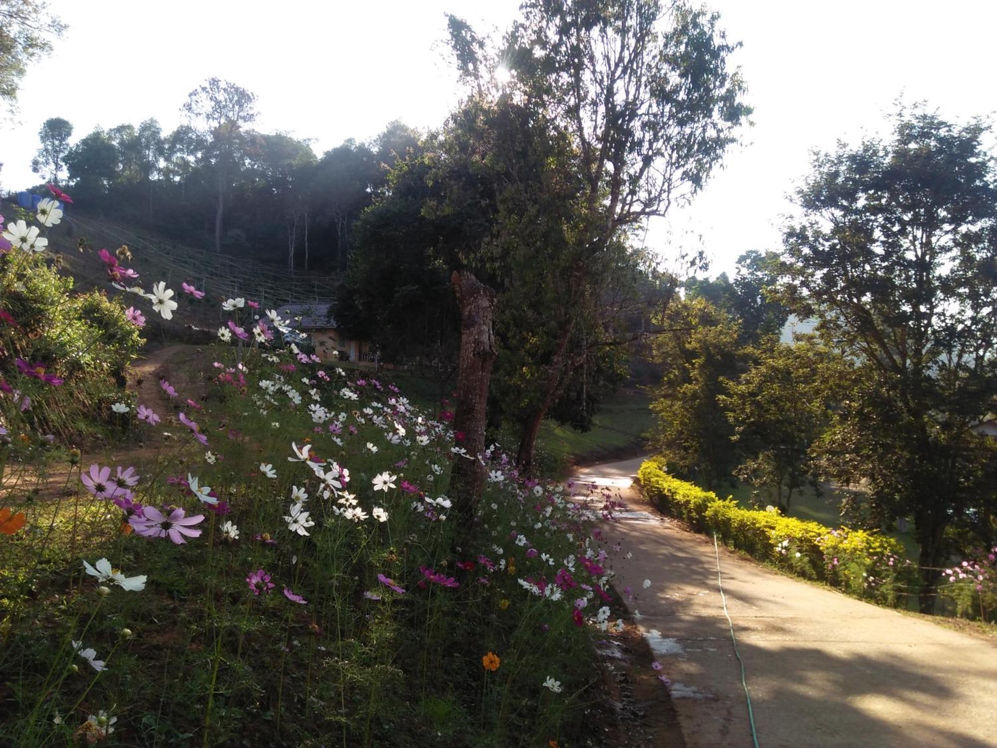 Mong Homestay Resort Pang Ung Buitenkant foto
